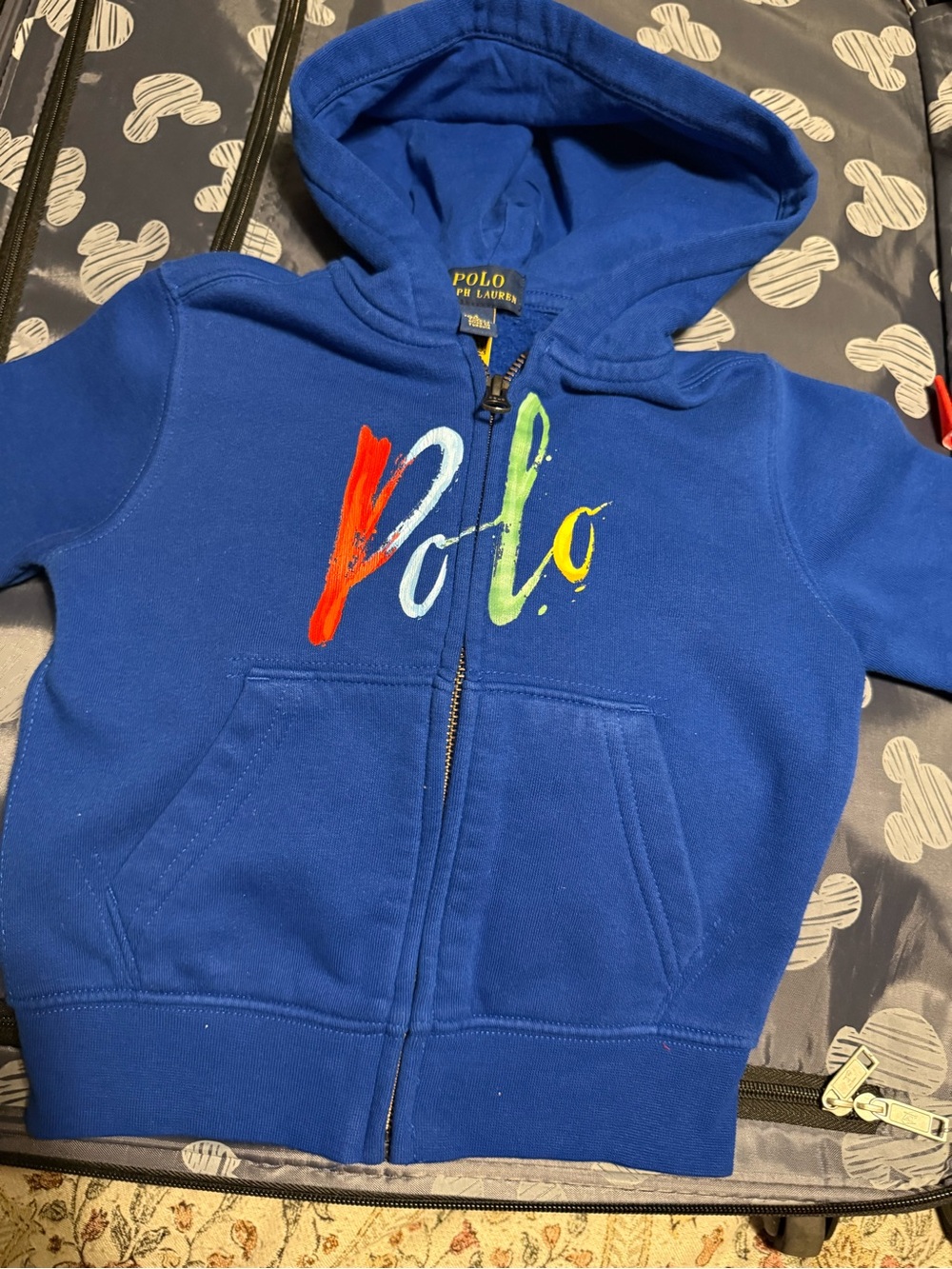 Polo by Ralph Lauren Blue Kids Zip Hoodie with Multicolor Brushstroke Logo